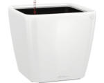 Hornbach Pflanzkübel Lechuza Quadro 28 x 28 x H 26 cm weiß inkl. Erdbewässerungsystem Pflanzeinsatz Substrat Wasserstandsanzeiger
