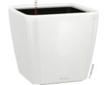Hornbach Pflanzkübel Lechuza Quadro 35 x 35 x H 33 cm weiß inkl. Erdbewässerungsystem Pflanzeinsatz Substrat Wasserstandsanzeiger
