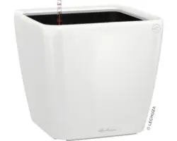 Pflanzkübel Lechuza Quadro 35 x 35 x H 33 cm weiß inkl. Erdbewässerungsystem Pflanzeinsatz Substrat Wasserstandsanzeiger