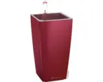 Hornbach Pflanzvase Lechuza Mini Cubi scarlet rot H 18 cm rot