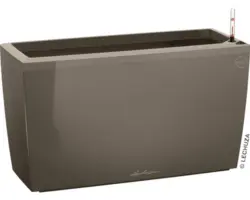 Raumteiler Lechuza Cararo Komplettset 75 x 30 x 43 cm beige