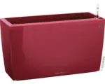 Hornbach Raumteiler Lechuza Cararo Komplettset 75 x 30 x 43 cm rot
