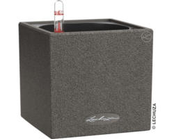 Blumentopf Canto Stone Kunststoff 14x14x14 cm schwarz inkl. Erdbewässerungsystem und Wasserstandsanzeiger