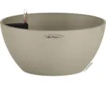 Hornbach Blumenschale Cubeto Stone Kunststoff 30x30x13 cm sandbeige inkl. Erdbewässerungsystem und Wasserstandsanzeiger
