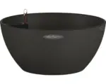 Hornbach Blumenschale Cubeto Stone Kunststoff 40x40x18 cm schwarz inkl. Erdbewässerungsystem und Wasserstandsanzeiger