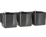 Hornbach Blumentopf Lechuza Cube Glossy Green Wall H 14 cm Kunststoff anthrazit inkl. Halterung, Wasserstandsanzeiger, Erdbewässerungsystem und Pflanzeinsatz