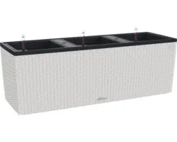 Blumenkasten Lechuza Canto Premium 40 x 40 x 75,8 cm silber inkl. Erdbewässerungssystem und Wasserstandsanzeiger