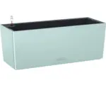 Hornbach Blumenkasten Lechuza Balconera Color 50 past.grün