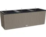 Hornbach Blumenkasten Lechuza Trio Cottage 40 sandbraun inkl. Erdbewässerungssystem und Wasserstandsanzeiger