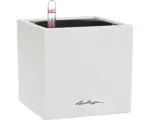 Hornbach Blumentopf Lechuza Canto Stone 14 x 14 x 14 cm quarzweiß inkl. Erdbewässerungssystem und Wasserstandsanzeiger