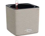 Hornbach Blumentopf Lechuza Cube Color Kunststoff 14x14x14 cm sandbraun inkl. Erdbewässerungssystem und Wasserstandsanzeiger
