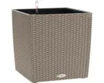 Hornbach Pflanzkübel Lechuza Cube Cottage 50 sandbraun