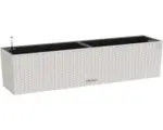 Hornbach Blumenkasten Lechuza Balconera Cottage 80cm grau