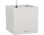 Hornbach Pflanzkübel Lechuza Canto Stone 30 x 30 x 30 cm weiß inkl. Erdbewässerungssystem