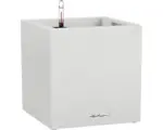Hornbach Pflanzkübel Lechuza Canto Stone 40 x 40 x 40 cm weiß