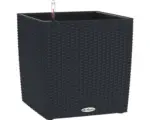 Hornbach Pflanzkübel Lechuza Cube Cottage 50 quadratisch schwarz inkl. Erdbewässerungssystem
