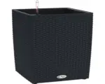 Hornbach Pflanzkübel Lechuza Cube Cottage 40 schwarz inkl. Erdbewässerungssystem