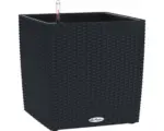 Hornbach Pflanzkübel Lechuza Cube Cottage 30 schwarz inkl. Erdbewässerungssystem