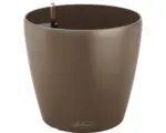 Hornbach Pflanztopf Lechuza Classico Color 18 Kunststoff Ø 19 cm H 17 cm muskat inkl. Erdbewässerungssystem