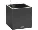 Hornbach Pflanzkübel Lechuza Canto Stone 30 LED low Kunststoff 30 x 30 x 30 cm graphitschwarz