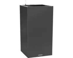 Pflanzsäule Lechuza Canto Stone 40 LED high Kunststoff 40 x 40 x 76 cm graphitschwarz