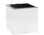 Hornbach Pflanzkübel Lechuza Canto Stone 40 LED low Kunststoff 40 x 40 x 40 cm quarzweiß