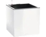 Hornbach Pflanzkübel rechteckig Lechuza Canto Premium 40 Kunststoff 40 cm x 40 cm x 40 cm weiß