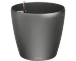 Hornbach Pflanzkübel Lechuza Classico Premium 60 Kunststoff Ø 60 cm H 55,5 cm anthrazit inkl. Erdbewässerungsystem, Substrat, Wasserstandsanzeiger