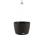 Hornbach Pflanzkübel Lechuza Nido Cottage Kunststoff 35 x 35 x 23 cm mokka inkl. Erdbewässerungsystem, Pflanzeinsatz und Wasserstandsanzeiger