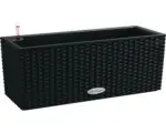Hornbach Pflanzkübel Lechuza Balconera Cottage Kunststoff 50 x 19 x 19 cm graphitschwarz inkl. Erdbewässerungsystem, Pflanzeinsatz und Wasserstandsanzeiger