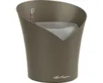 Hornbach Pflanzkübel Lechuza Orchidea Kunststoff 18 x 18 x 20 cm taupe inkl. Erdbewässerungsystem, Pflanzeinsatz und Wasserstandsanzeiger