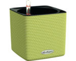 Hornbach Blumentopf Lechuza Cube Color Kunststoff 14x14x14 cm limettengrün inkl. Erdbewässerungssystem und Wasserstandsanzeiger