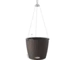 Hornbach Blumenampel Lechuza Nido Cottage Kunststoff Ø 27 H 23 cm mokka inkl. Erdbewässerungssystem und Wasserstandsanzeiger