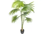Hornbach Kunstpalme Washingtonia H 150 cm grün