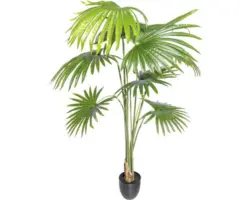 Kunstpalme Washingtonia H 150 cm grün