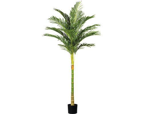 Kunstpalme Kentiapalme Hochstamm H 180 cm grün