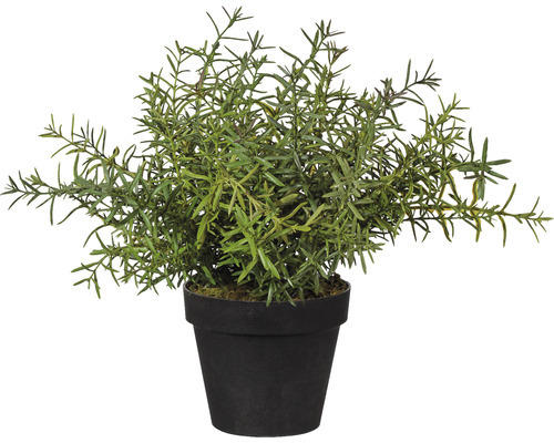 Kunstpflanze Rosmarin im Kunststofftopf Ø 14 cm Höhe: 30 cm grün