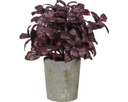 Kunstpflanze Basilikumbusch Ø 14 cm Höhe: 30 cm burgund