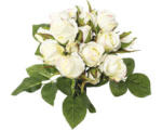 Hornbach Kunstpflanze Rosen Bouquet Ø 18 cm Höhe: 29 cm creme