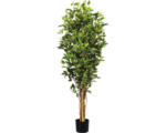 Hornbach Kunstpflanze Ficus Benjamina Höhe: 150 cm grün