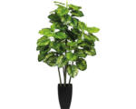 Hornbach Kunstpflanze Maranta Höhe: 105 cm grün