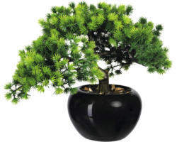 Kunstpflanze Bonsai Lärche Höhe: 26 cm grün