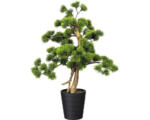 Hornbach Kunstpflanze Bonsai Kiefer Ø 40 Höhe: 60 cm grün