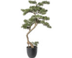 Hornbach Kunstpflanze Bonsai Zeder Höhe: 90 cm grün