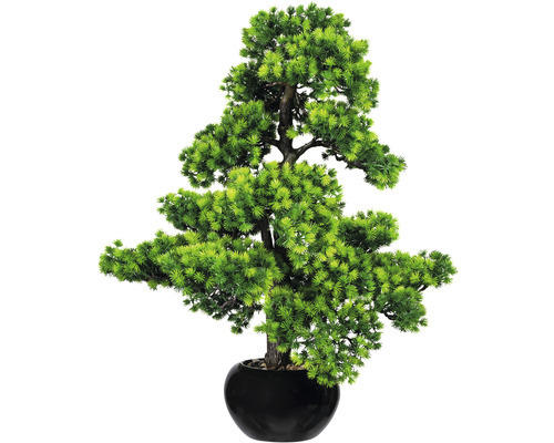 Kunstpflanze Bonsai Lärche Höhe: 70 cm grün