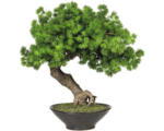 Hornbach Kunstpflanze Bonsai Lärche Hankengai Höhe: 37 cm grün