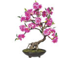 Hornbach Kunstpflanze Bonsai Cerasum Pink Höhe: 50 cm grün