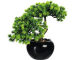 Hornbach Kunstpflanze Bonsai Lärche Höhe: 25 cm grün