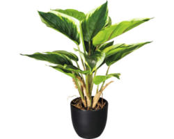 Kunstpflanze Hosta Höhe: 35 cm grün