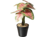 Hornbach Kunstpflanze Caladium Höhe: 30 cm grün-rot